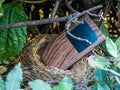 Phone found a new home in a bird`s nest in the bush in the garden at Villa D`Este in Tivoli, Italy