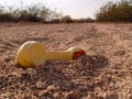 Phone Home in the Arizona desert Royalty Free Stock Photo