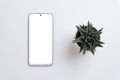 Phone and plant on gray surface. Isolated screen for app design promotion mockup