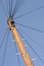 Phone pole