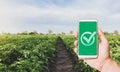 Phone with a quality mark on a farm plantation. Growing organic vegetables. Control permissible doses of harmful chemicals Royalty Free Stock Photo