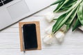 phone screen and laptop and tulips on white wooden rustic background. stylish flat lay with flowers and working gadgets with Royalty Free Stock Photo