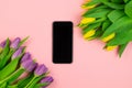 Phone and tulips on pink background Royalty Free Stock Photo