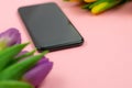 Phone and tulips on pink background Royalty Free Stock Photo