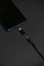 Phone with USB Type C and Micro USB to Type C adapter and cable. Royalty Free Stock Photo