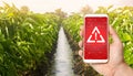 A phone warns of the danger against the background of a farm plantation of pepper. Monitoring and analysis of the presence