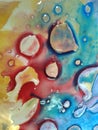 Colored liquid water and oil drops