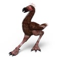 Phorusrhacidae, also Terror Bird. 3D Illustration Royalty Free Stock Photo