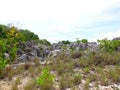 Phosphate rocks in Nauru 3rd smallest country in the world, South Pacific Royalty Free Stock Photo