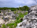 Phosphate rocks in Nauru 3rd smallest country in the world, South Pacific Royalty Free Stock Photo