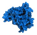 Phosphodiesterase 5 PDE5 enzyme. Inhibition of this enzyme is the mechanism of action of sildenafil, tadalafil and vardenafil,.