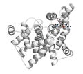 Phosphodiesterase 5 PDE5 enzyme. Inhibition of this enzyme is the mechanism of action of sildenafil, tadalafil and vardenafil,.