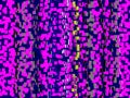 Phosphorescent purple shapes, stars, background, forms, abstract texture