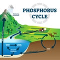 Phosphorus cycle vector illustration. Labeled earth chemical element scheme