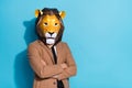 Photo of absurd freak lion mask guy employee cross arms wear outerwear isolated over blue color background Royalty Free Stock Photo