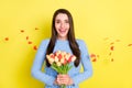 Photo of adorable excited young woman dressed blue clothes holding bouquet smiling isolated yellow color background Royalty Free Stock Photo