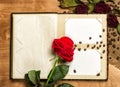 Photo album and red roses on coffee seeds Royalty Free Stock Photo