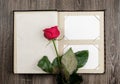 Photo album and roses on wood background Royalty Free Stock Photo