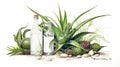 Photorealistic Illustration Of Aloe Vera Collection In Imperial Stout Style Royalty Free Stock Photo