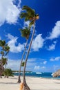 Amazing view of Caribbean beach with white sand and beautiful exotic palm trees, Dominican Republic, Caribbean Islands Royalty Free Stock Photo