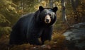 photo of American black bear Ursus americanus in green forest. Generative AI