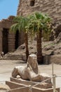 Ancient Karnak temple in Luxor, Egypt