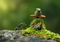 Photo of an ant carrying on its back a hat made of stone and moss Royalty Free Stock Photo