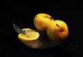 Photo of apples and lemon on the ice in yellow and black colors which can be good illustration of food as fruits and vitamins also