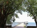 Arched Trees at Green Island Great Barrier Reef Queensland Australia Royalty Free Stock Photo