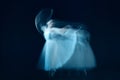 Photo as art - a sensual and emotional dance of beautiful ballerina through the veil