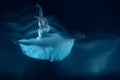 Photo as art - a sensual and emotional dance of beautiful ballerina through the veil