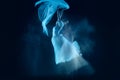 Photo as art - a sensual and emotional dance of beautiful ballerina through the veil