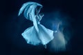 Photo as art - a sensual and emotional dance of beautiful ballerina through the veil