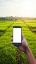 Photo Asian man holds blank smartphone, green field, blue sky backdrop