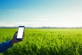 Photo Asian man holds blank smartphone, green field, blue sky backdrop