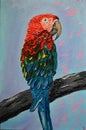 Macaw. Ara parrot. Parrot. Green-winged macaw. Photo of the painting. Oil painting. Photo of macaw. Bird. Bird photo Royalty Free Stock Photo