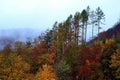 Autumn color palette of trees in the mountains, Moravia, Czech Republic