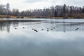 Photo of an autumn landscape. Shore, pond, trees