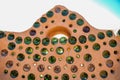 Photo of background texture of mud wall , clay with glass from the bottles