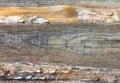 photo background, texture natural wood old cedar, black and yellow colors. organic Royalty Free Stock Photo