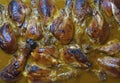 Baked Mustard Sauce Barbecue Chicken Legs Royalty Free Stock Photo