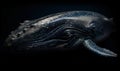 photo of Balaenoptera musculus also known as the blue whale on black background. Generative AI