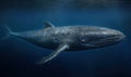 Photo of Balaenoptera musculus also known as the blue whale in its natural habitat - vastness of the ocean. the blue whale is