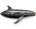 photo of baleen whale isolated on white background. Generative AI