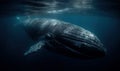 photo of baleen whale in its natural habitat. Generative AI