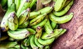 photo of banana bunches still green unripe Royalty Free Stock Photo