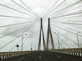 A photo of Bandra Worli Sea Link bridge and its cables. Mumbai, Maharashtra, India.