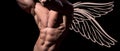 Photo banner of sexy man angel with wings for valentines day. Hot boy. Guy with sexy body. Handsome muscular man with Royalty Free Stock Photo