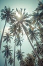 Photo beach with coconut