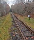 Photo of a beautiful abandoned railway in the depths of the forest Royalty Free Stock Photo